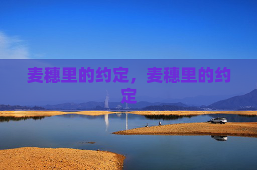 麦穗里的约定，麦穗里的约定