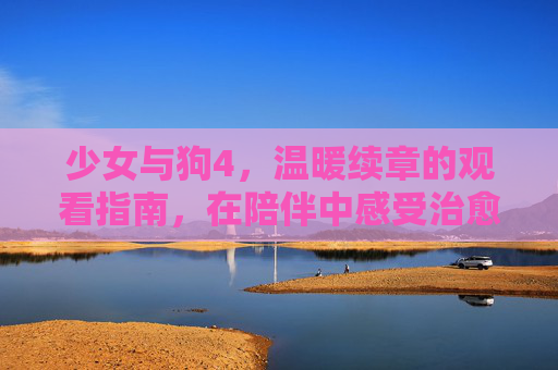 少女与狗4，温暖续章的观看指南，在陪伴中感受治愈力量，少女与狗4温暖续章观看指南，陪伴中的治愈力量