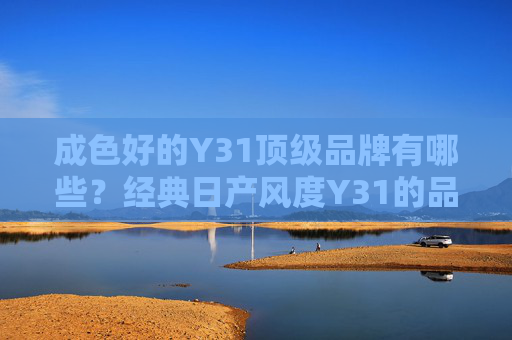 成色好的Y31顶级品牌有哪些？经典日产风度Y31的品质之选与升级指南，经典日产风度Y31，顶级品牌品质之选与升级指南