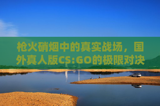 枪火硝烟中的真实战场，国外真人版CS:GO的极限对决，国外真人版CS:GO，枪火硝烟中的极限对决