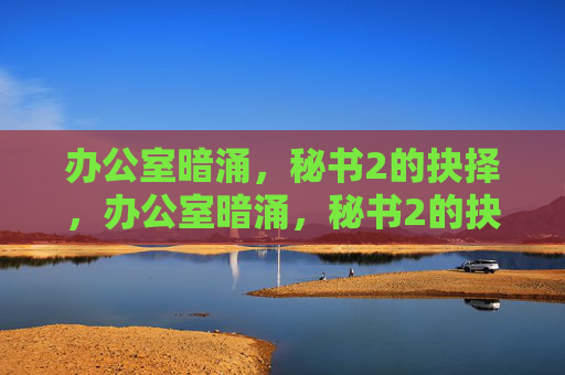 办公室暗涌,秘书2的抉择,办公室暗涌,秘书2的抉择