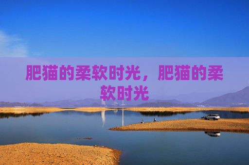 肥猫的柔软时光,肥猫的柔软时光