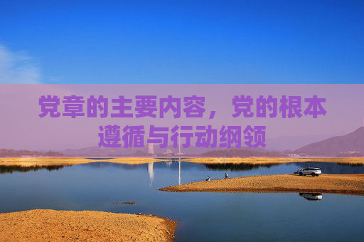 党章的主要内容,党的根本遵循与行动纲领