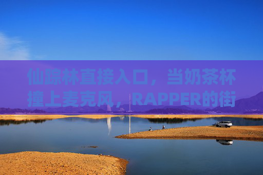 仙踪林直接入口，当奶茶杯撞上麦克风，RAPPER的街头甜味暴击，奶茶杯撞麦克风！仙踪林街头甜味暴击RAPPER