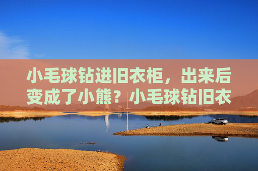 小毛球钻进旧衣柜，出来后变成了小熊？小毛球钻旧衣柜，出来变小熊！