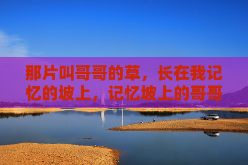 那片叫哥哥的草，长在我记忆的坡上，记忆坡上的哥哥草