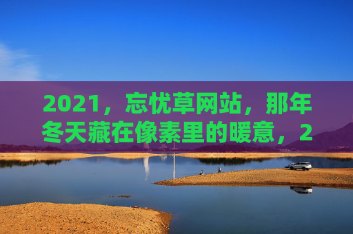 2021，忘忧草网站，那年冬天藏在像素里的暖意，2021忘忧草网站，那年冬天藏在像素里的暖意
