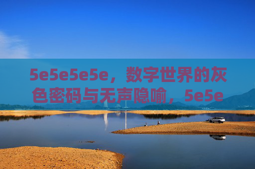 5e5e5e5e，数字世界的灰色密码与无声隐喻，5e5e5e5e，数字世界的灰色密码与无声隐喻