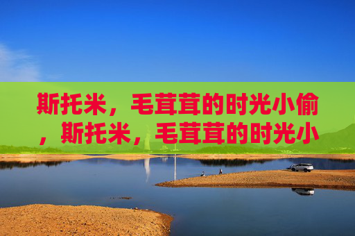 斯托米，毛茸茸的时光小偷，斯托米，毛茸茸的时光小偷