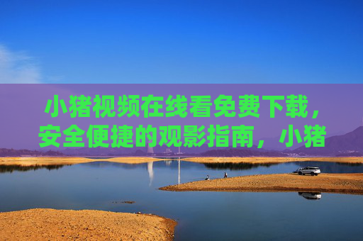小猪视频在线看免费下载，安全便捷的观影指南，小猪视频，免费下载安全便捷的观影指南