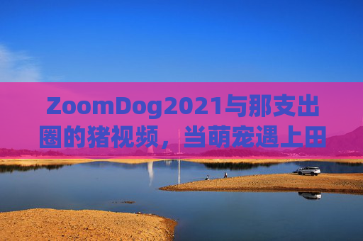 ZoomDog2021与那支出圈的猪视频，当萌宠遇上田园牧歌，萌宠遇上田园牧歌，ZoomDog2021与出圈猪视频