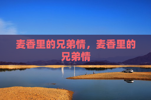 麦香里的兄弟情，麦香里的兄弟情