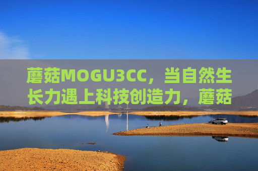 蘑菇MOGU3CC，当自然生长力遇上科技创造力，蘑菇MOGU3CC，自然生长力与科技创造力的相遇