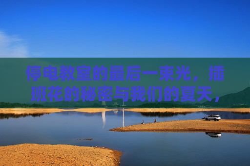 停电教室的最后一束光，插班花的秘密与我们的夏天，停电教室的最后一束光，插班花的秘密与我们的夏天