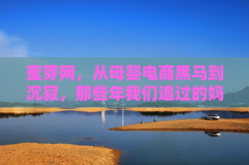 蜜芽网，从母婴电商黑马到沉寂，那些年我们追过的妈妈优选，蜜芽网，从母婴电商黑马到沉寂，那些年我们追过的妈妈优选
