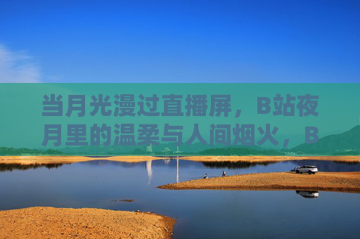 当月光漫过直播屏，B站夜月里的温柔与人间烟火，B站夜月，月光漫屏的温柔烟火
