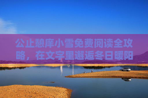 公止憩庠小雪免费阅读全攻略，在文字里邂逅冬日暖阳，公止憩庠小雪免费阅读全攻略，文字里的冬日暖阳邂逅