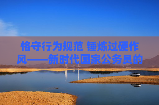 恪守行为规范 锤炼过硬作风——新时代国家公务员的行为准则与实践路径，新时代国家公务员行为规范与作风锤炼