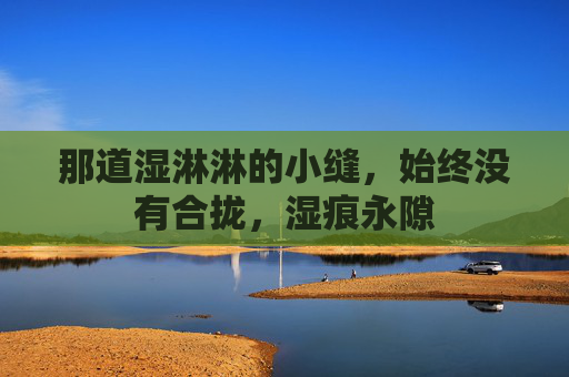 那道湿淋淋的小缝，始终没有合拢，湿痕永隙
