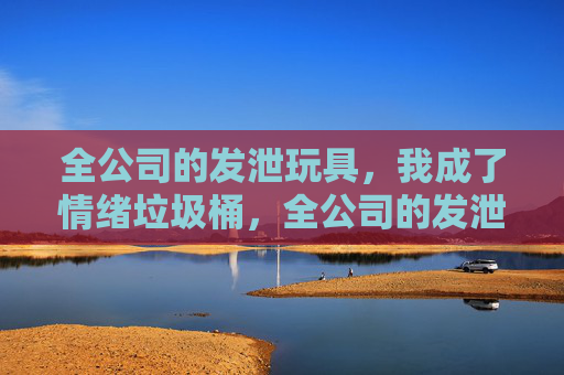 全公司的发泄玩具，我成了情绪垃圾桶，全公司的发泄玩具，我成了情绪垃圾桶
