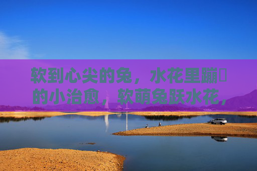 软到心尖的兔，水花里蹦跶的小治愈，软萌兔跃水花，蹦跶出小治愈