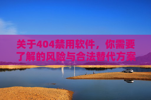 关于404禁用软件，你需要了解的风险与合法替代方案，404禁用软件，风险警示与合法替代指南
