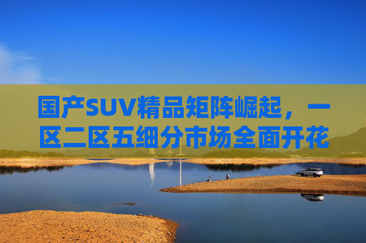 国产SUV精品矩阵崛起，一区二区五细分市场全面开花，国产SUV精品矩阵崛起 细分市场全面开花