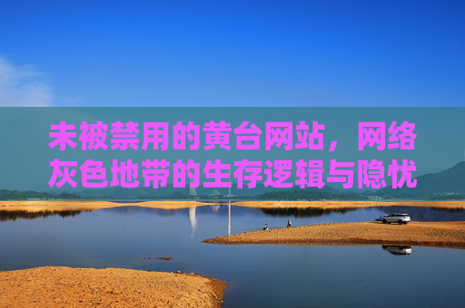 未被禁用的黄台网站，网络灰色地带的生存逻辑与隐忧，未被禁用的黄台网站，网络灰色地带的生存逻辑与隐忧