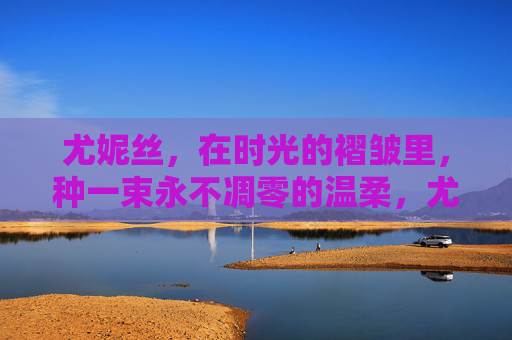 尤妮丝，在时光的褶皱里，种一束永不凋零的温柔，尤妮丝，时光褶皱里的不凋温柔