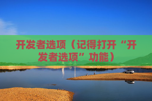 详细阅读:开发者选项(记得打开“开发者选项”功能) 开发者选项(记得打开“开发者选项”功能)