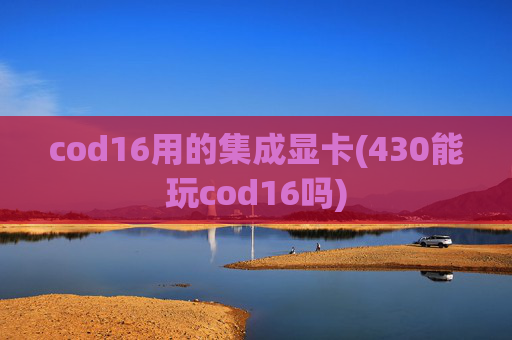 cod16用的集成显卡(430能玩cod16吗)
