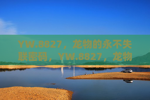 YW.8827，龙物的永不失联密码，YW.8827，龙物的永不失联密码