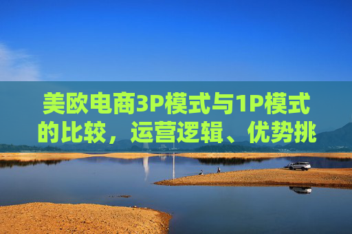 美欧电商3P模式与1P模式的比较，运营逻辑、优势挑战与未来趋势，美欧电商3P与1P模式比较，运营逻辑、优势挑战及未来趋势