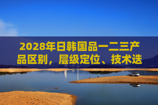 2028年日韩国品一二三产品区别，层级定位、技术迭代与市场策略解析，2028年日韩国品一二三产品区别，层级定位、技术迭代与市场策略解析