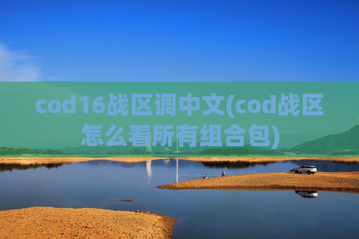cod16战区调中文(cod战区怎么看所有组合包)