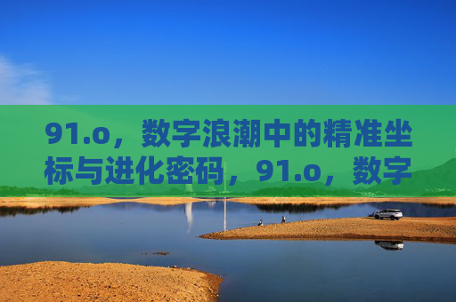 91.o，数字浪潮中的精准坐标与进化密码，91.o，数字浪潮中的精准坐标与进化密码