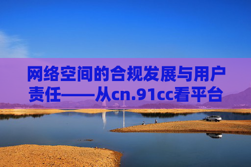 网络空间的合规发展与用户责任——从cn.91cc看平台运营与网络生态，网络空间的合规发展与用户责任，从cn.91cc看平台运营与网络生态