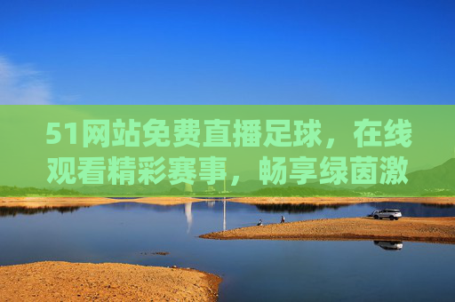 51网站免费直播足球，在线观看精彩赛事，畅享绿茵激情，51网站免费足球直播，畅享绿茵激情在线观赛