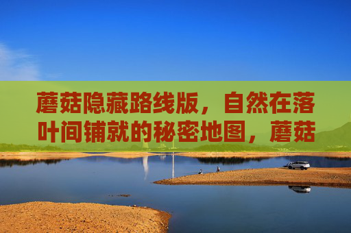 蘑菇隐藏路线版，自然在落叶间铺就的秘密地图，蘑菇隐藏路线，落叶铺就的秘密地图