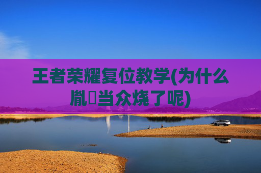 王者荣耀复位教学(为什么胤禛当众烧了呢)