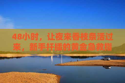 48小时，让夜来香枝条活过来，新手扦插的黄金急救指南，48小时黄金急救！新手让夜来香枝条活过来指南