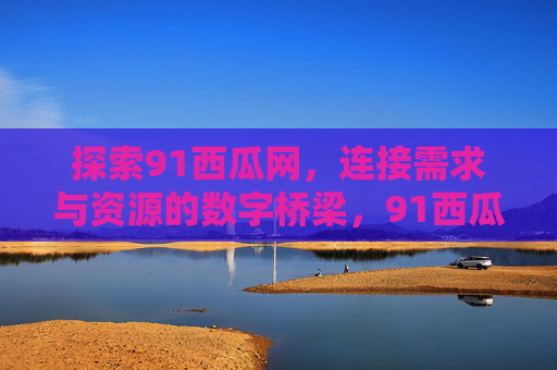 探索91西瓜网，连接需求与资源的数字桥梁，91西瓜网，需求与资源的数字桥梁