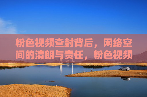 粉色视频查封背后，网络空间的清朗与责任，粉色视频查封，网络空间的清朗与责任