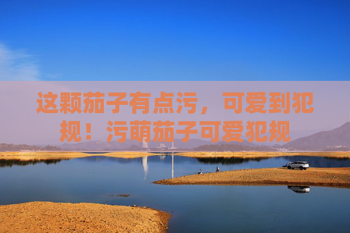 这颗茄子有点污，可爱到犯规！污萌茄子可爱犯规