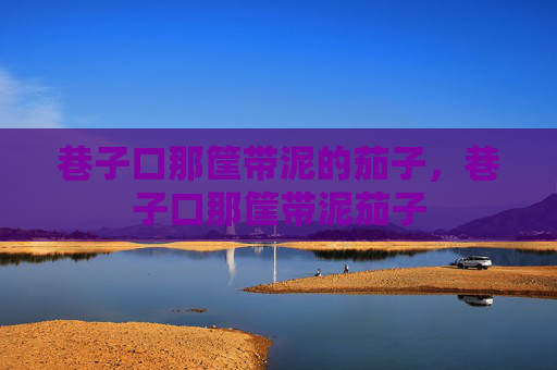 巷子口那筐带泥的茄子，巷子口那筐带泥茄子