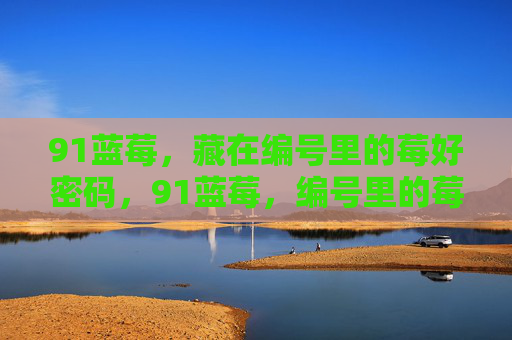 91蓝莓,藏在编号里的莓好密码,91蓝莓,编号里的莓好密码