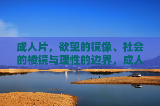 成人片,欲望的镜像、社会的棱镜与理性的边界,成人片,欲望镜像、社会棱镜与理性边界