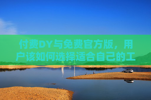 付费DY与免费官方版，用户该如何选择适合自己的工具？付费DY与免费官方版，用户如何选适合自己的工具？