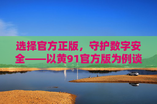 选择官方正版，守护数字安全——以黄91官方版为例谈正版应用的重要性，官方正版守护数字安全，正版应用的重要性