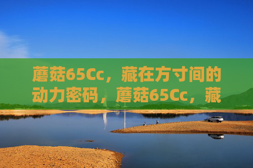 蘑菇65Cc,藏在方寸间的动力密码,蘑菇65Cc,藏在方寸间的动力密码